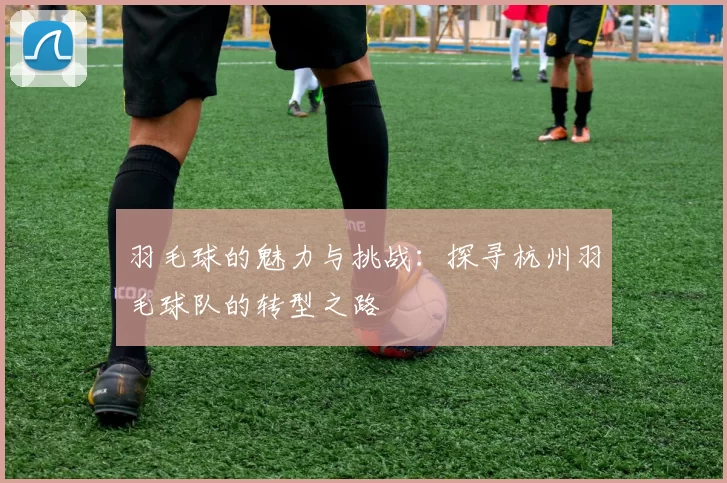 羽毛球的魅力与挑战：探寻杭州羽毛球队的转型之路