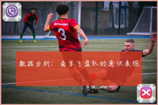 数据分析：南京飞盘队的意识表现