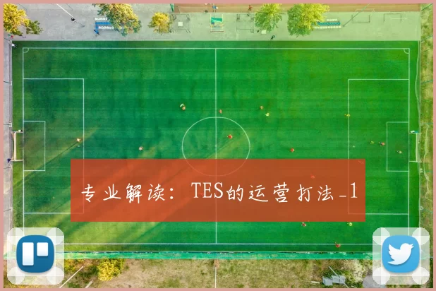 专业解读：TES的运营打法_1