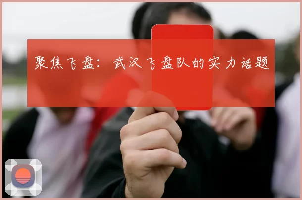 聚焦飞盘：武汉飞盘队的实力话题