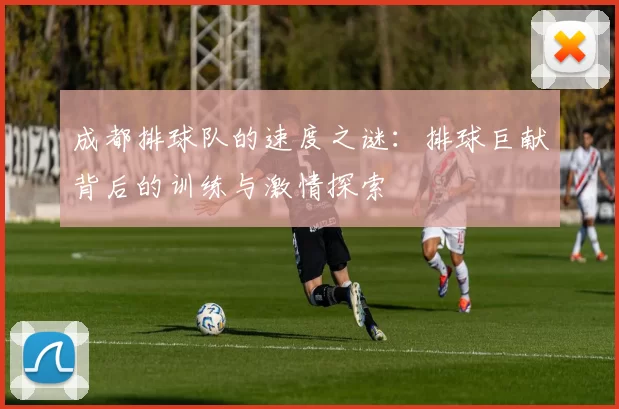 成都排球队的速度之谜：排球巨献背后的训练与激情探索