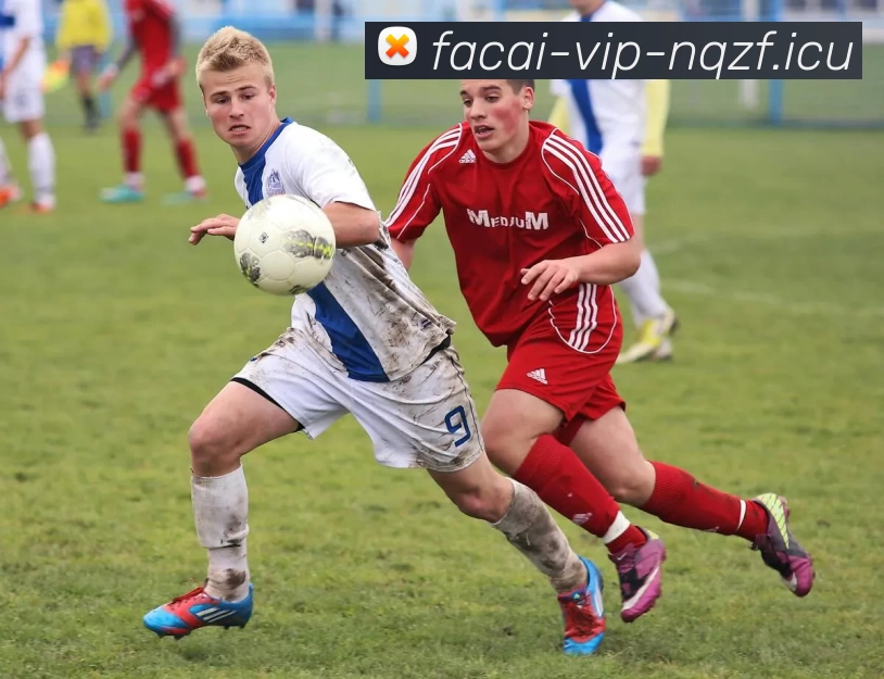 米兰体育服务体系